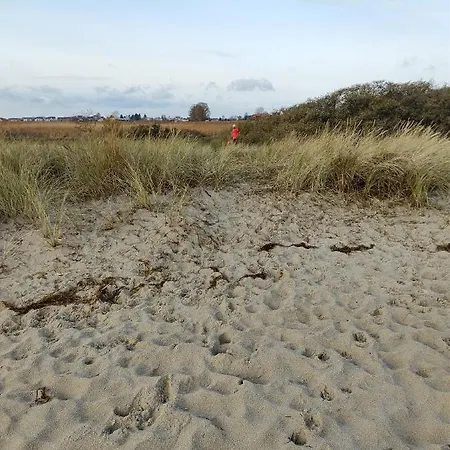 Laguna