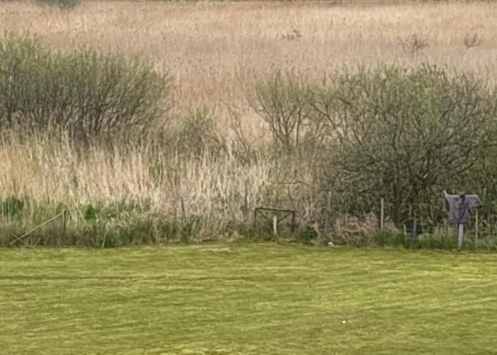 Laguna Гостевой дом 3*